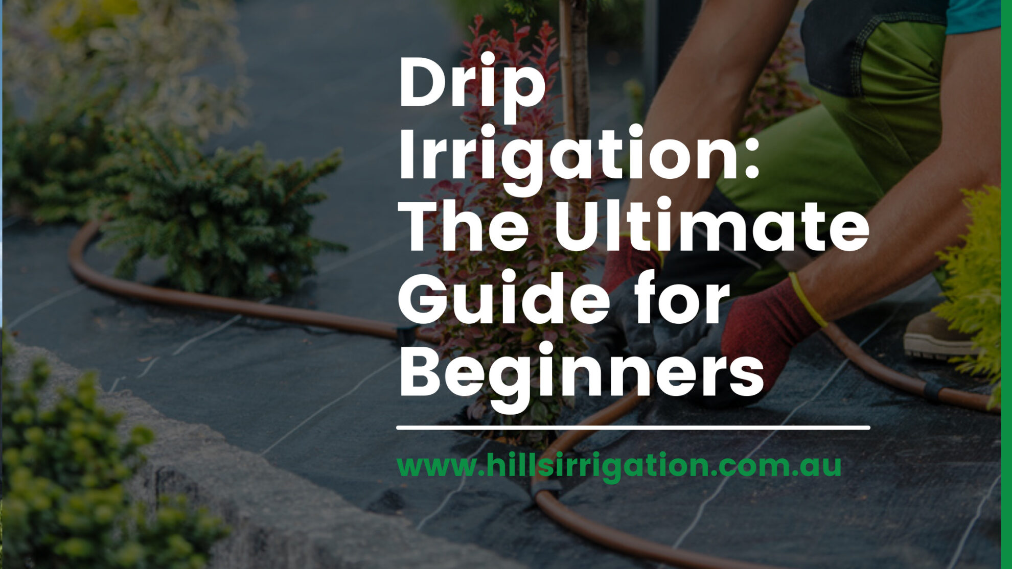 The Ideal Watering Technique for Your Vegetable Garden: Harnessing Efficient Drip Irrigation