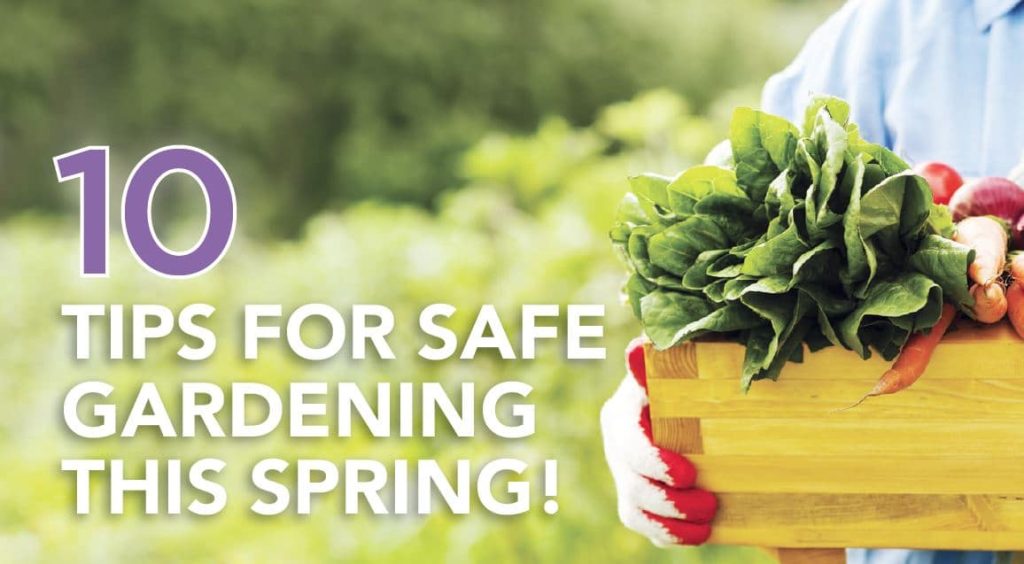 Essential Safe Gardening Tips: Protect Your Plants and Nurture Your Green Space