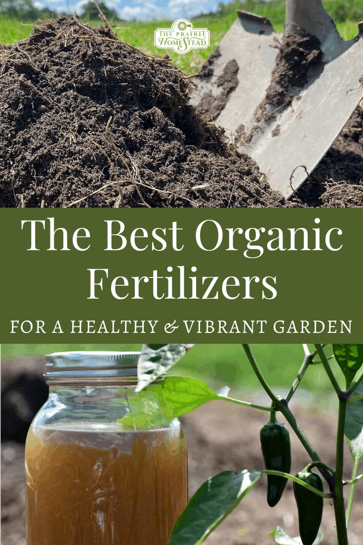 The Top Organic Garden Fertilizers for Vegetables: Nurturing Your Plants Naturally