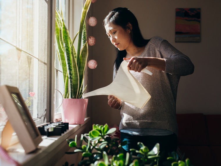 The Best Plant Care App Recommended by Redditors for Green Thumb Enthusiasts