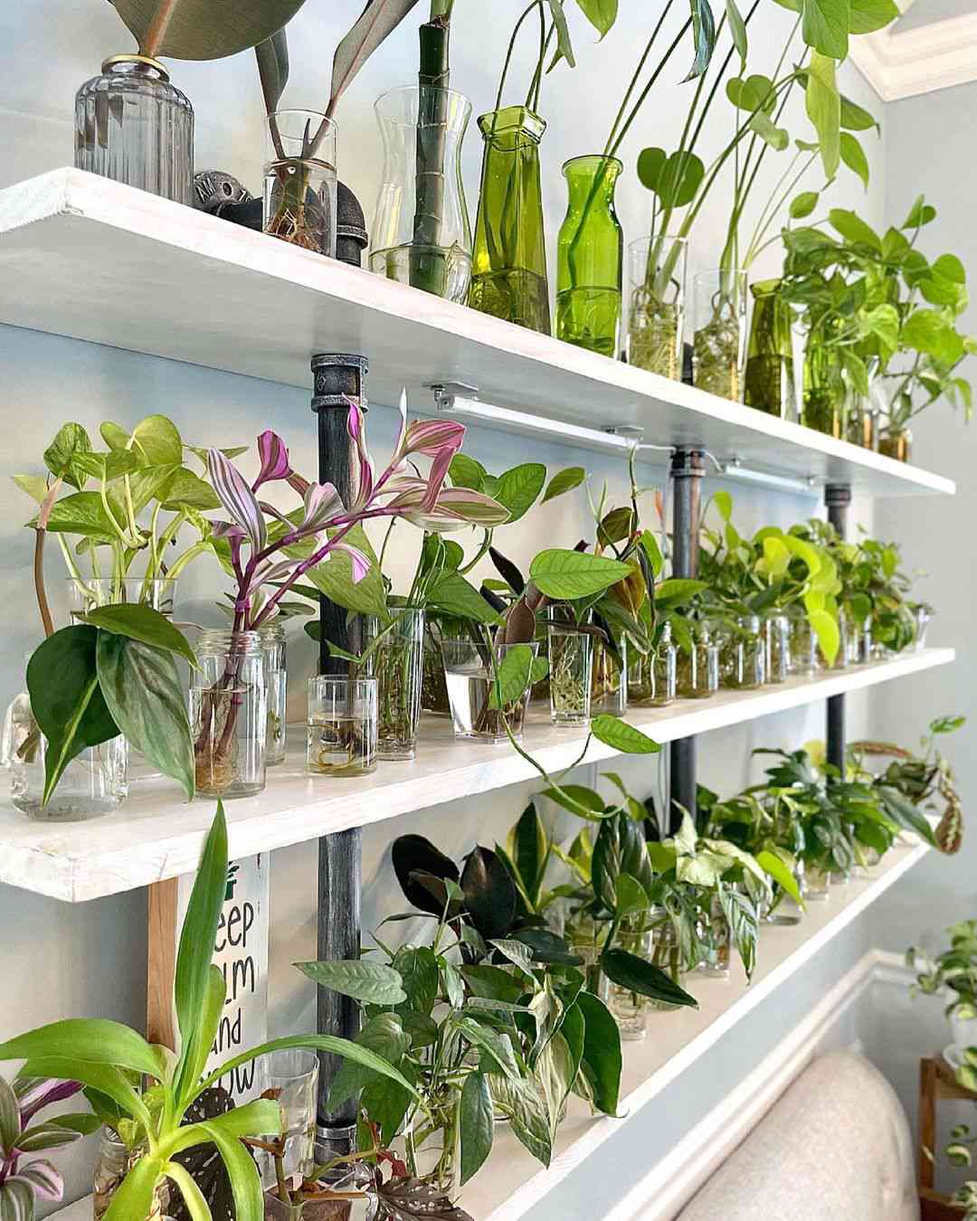Simple and Creative DIY Indoor Garden Ideas to Your Home