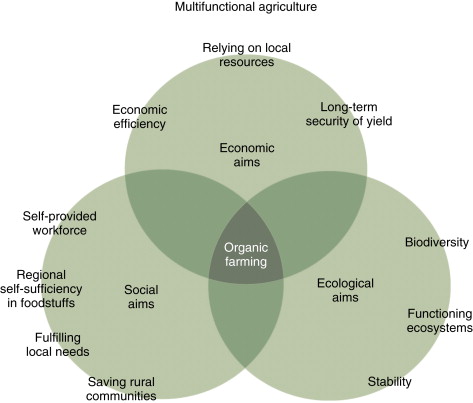 What Exactly is Organic Farming? A Comprehensive Guide to Understanding This Sustainable Agricultural Practice