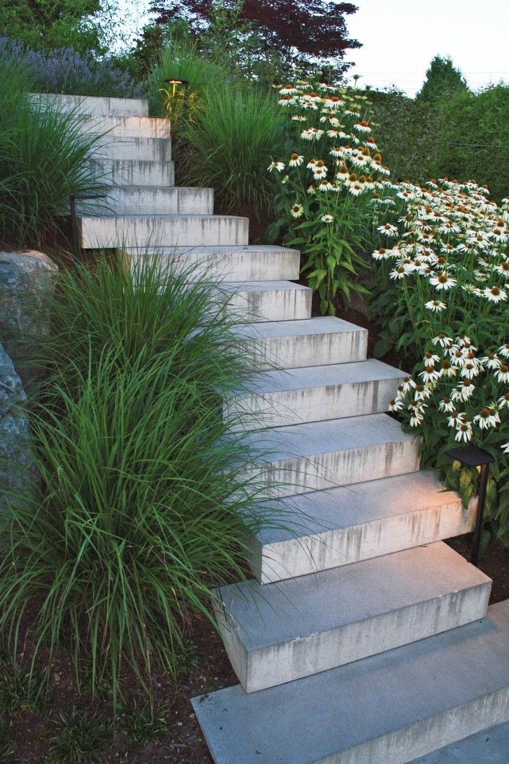 Creating Your Dream Garden: A Step-by-Step Guide to Gorgeous Outdoor Spaces