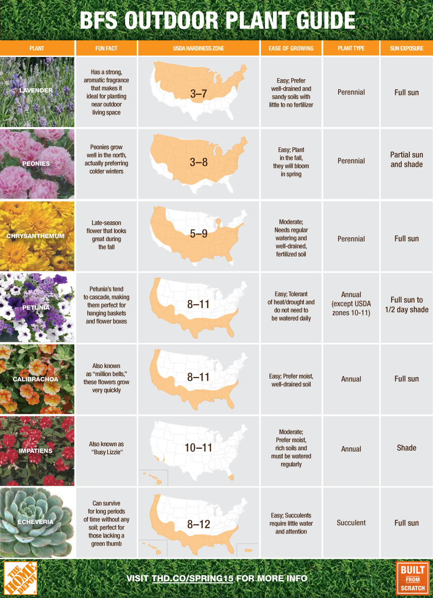 When is the Best Time to Plant: A Comprehensive Guide for Garden Enthusiasts