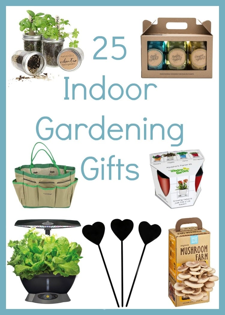 The Perfect Presents: Top Indoor Gardening Accessories for Green Thumbs