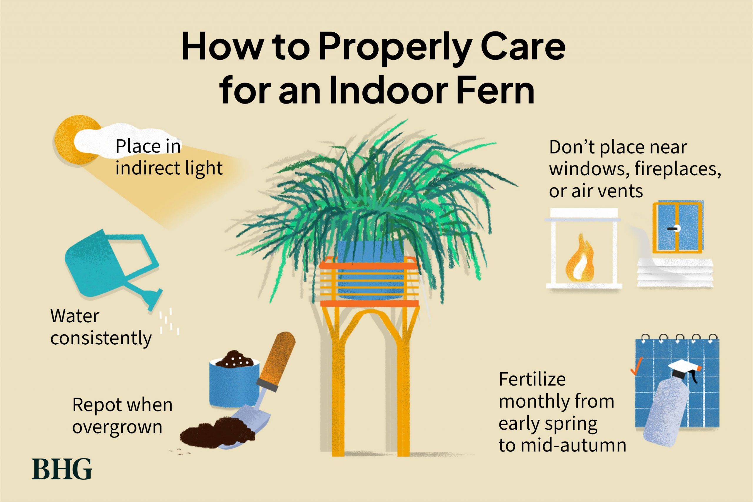 The Complete Guide to Properly Caring for Your Plants