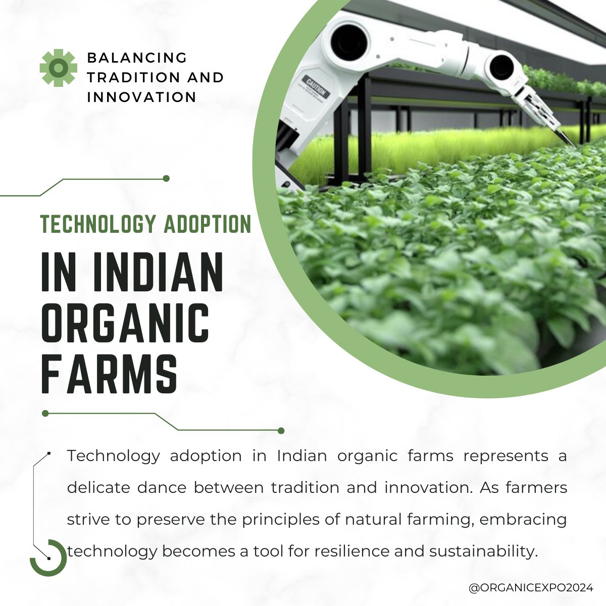 Can Organic Farming Ensure Sustainable Agriculture in India?