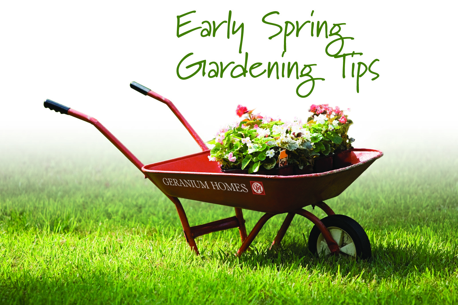Practical Tips for Successful Early Gardening