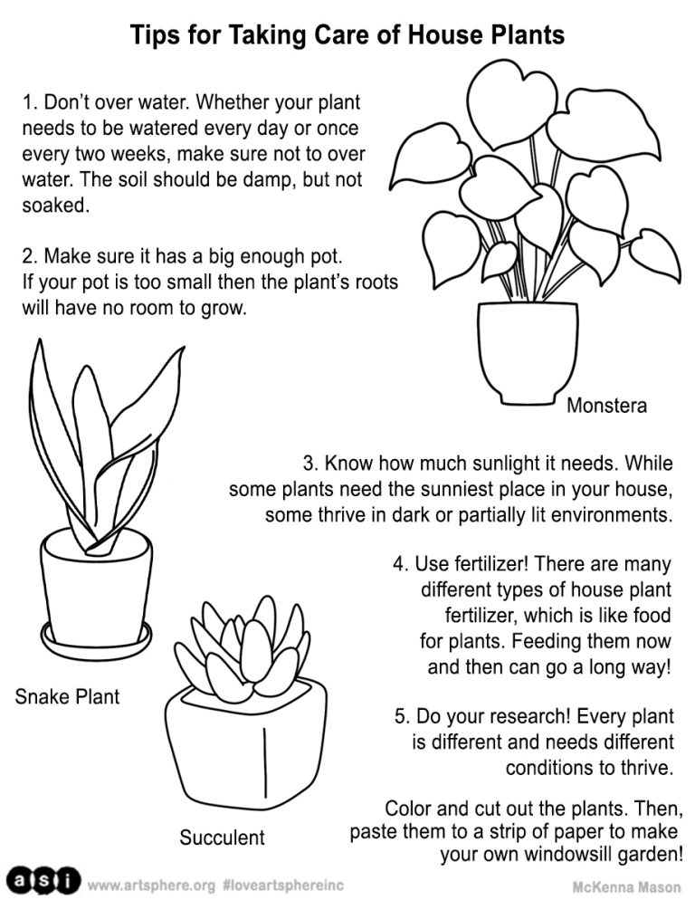 The Art of Nurturing Your Plants: Essential Tips and Techniques for Optimal Care