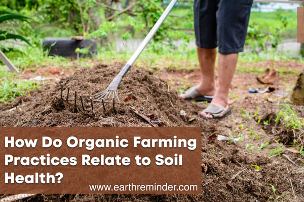 How Organic Farming Nurtures Soil Health: A Sustainable Approach for Farming Success