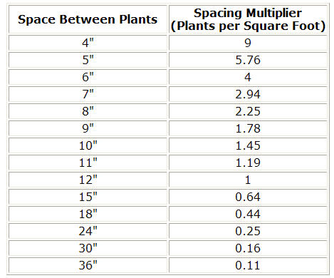 How to Easily Calculate the Ideal Number of Plants for Your Space