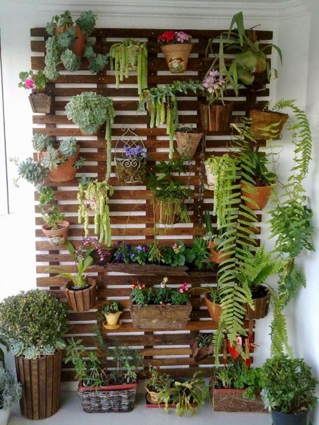 What's Blooming: Creative Indoor Garden Ideas on Pinterest to Beautify Your Home