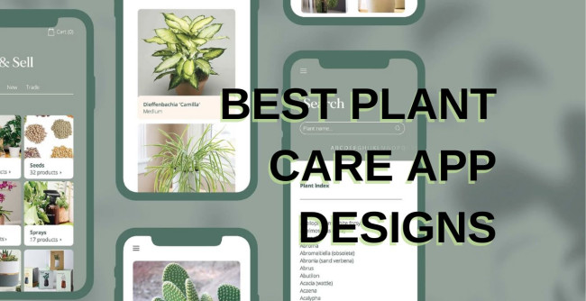 Choosing the Ideal Plant Care App: A Comprehensive Comparison for Green Thumbs