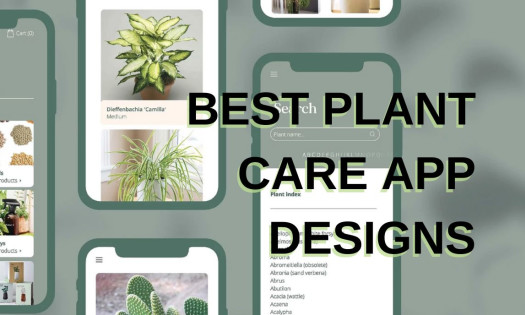 The Essential Plant Care App: Empowering Gardeners to Cultivate Beautiful Gardens