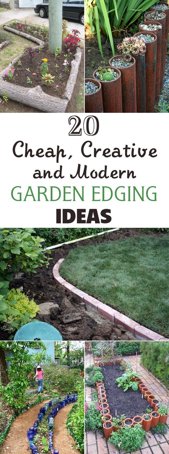 Inexpensive Garden Inspiration: Creative Ideas to Your Outdoor Space