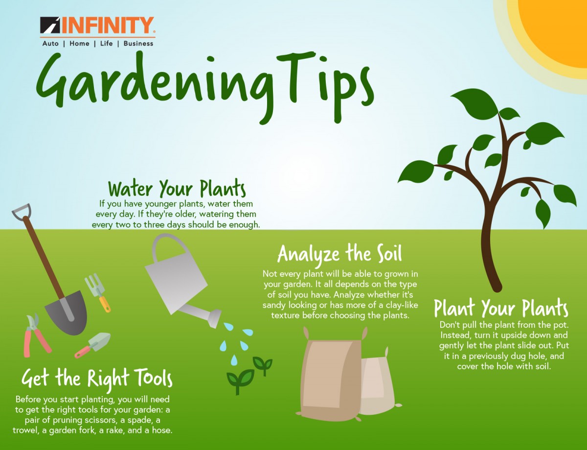 Simple and Effective Gardening Tips for Beginners: Enhance Your Green Thumb Skills