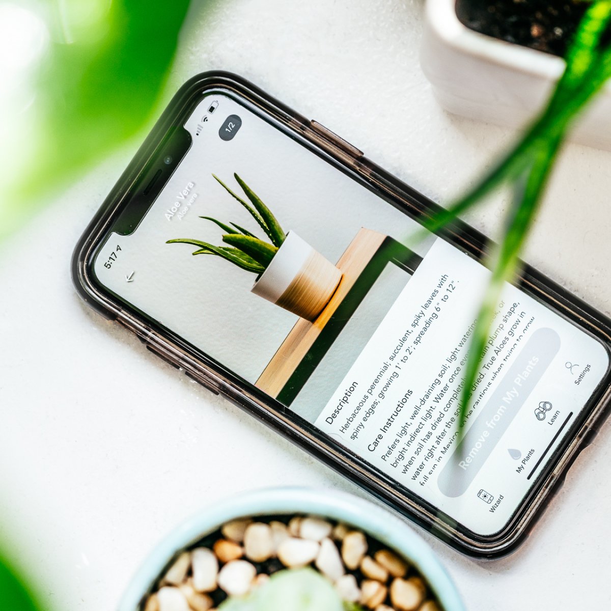 The Budget-Friendly Plant Care App That Guarantees Thriving Plants