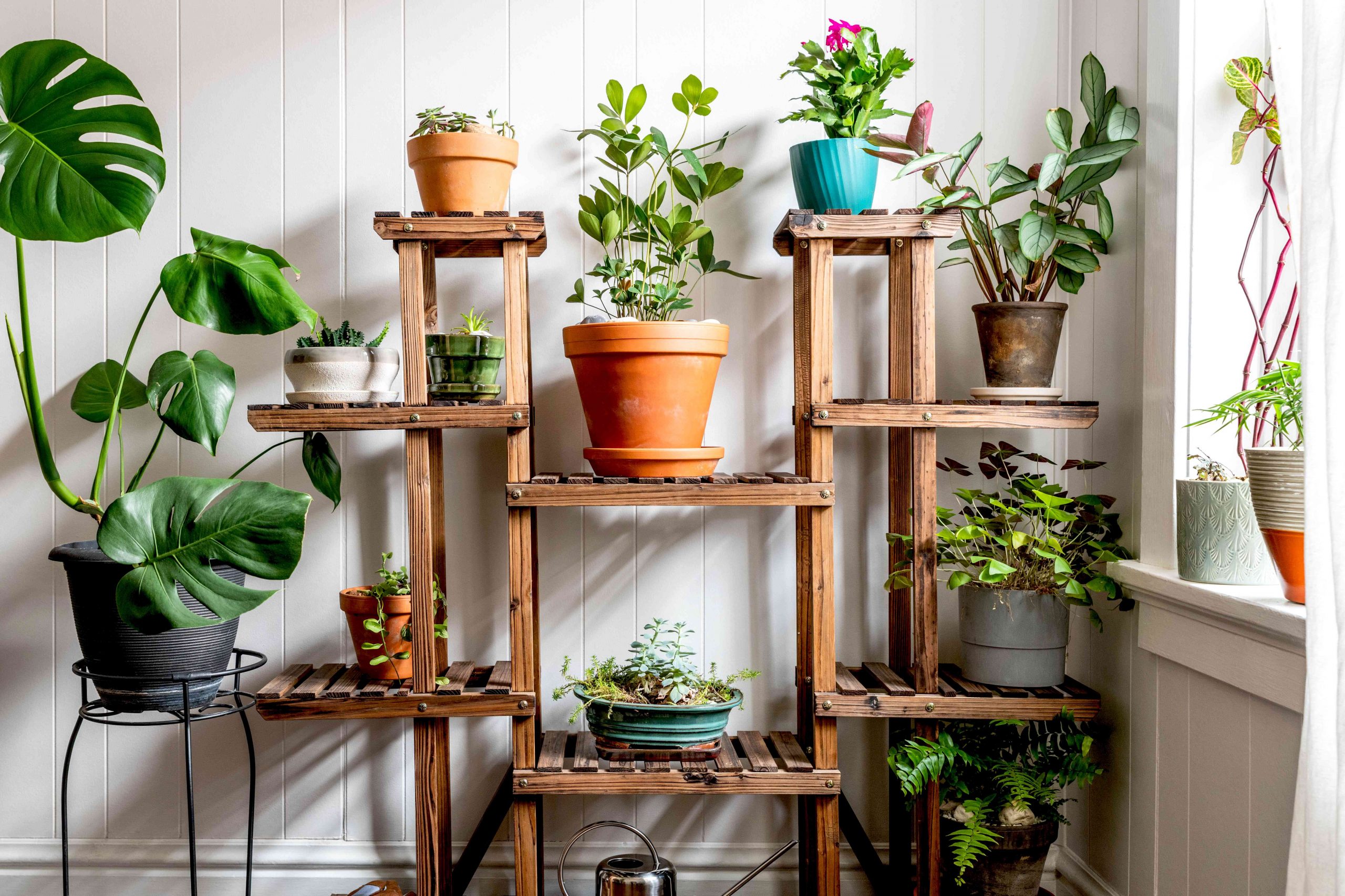 The Joy of Indoor Gardening: Creating a Flourishing Oasis at Home