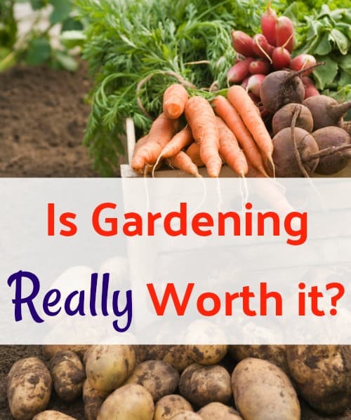 Is Gardening Worth the Effort: A Natural Approach to Cultivating Your Own Paradise