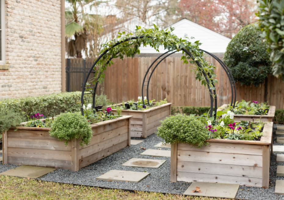 A Beginner's Guide to Designing a Beautiful Garden Bed: Tips and Inspiration