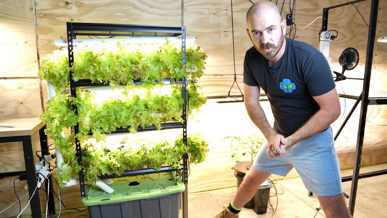 Simple Steps to Create a Successful Indoor Hydroponic Garden