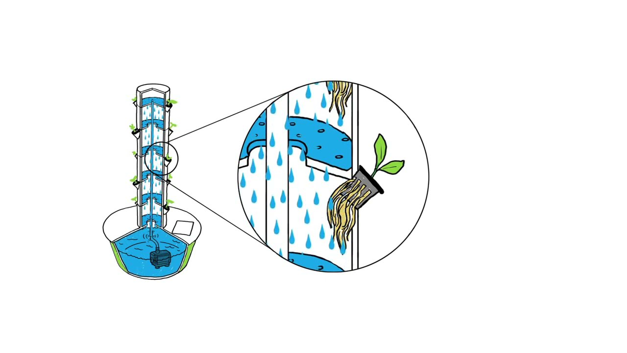 The Art of Cultivating with Hydroponics: A Deep Dive into How this Innovative Gardening Technique Works!