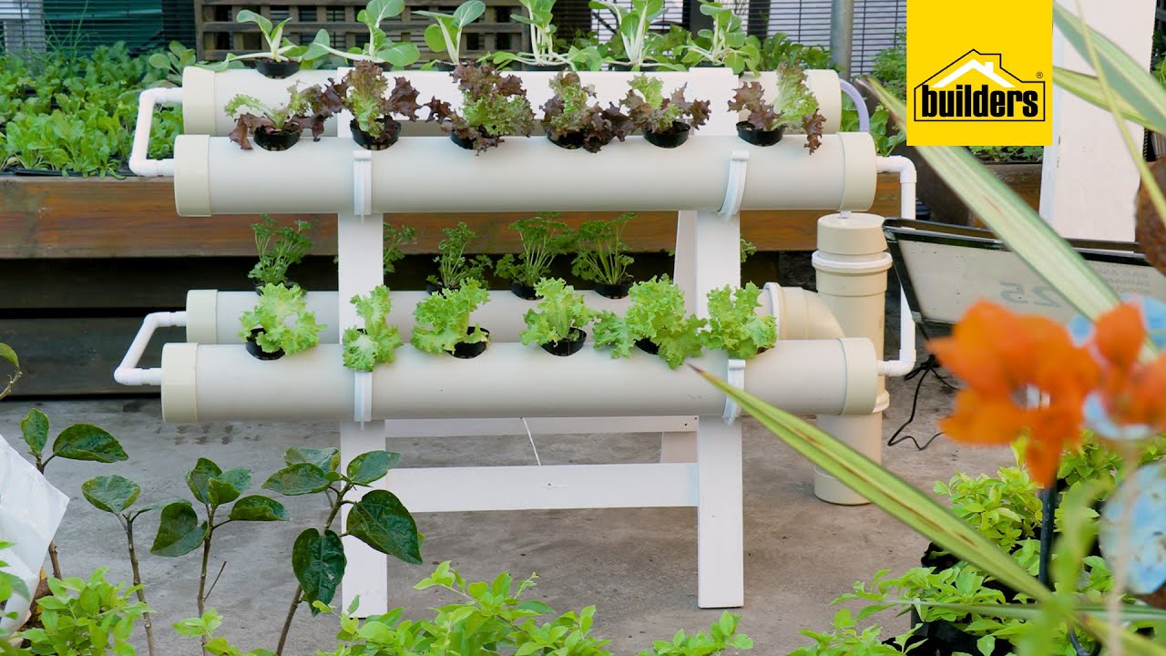 How to Create a Successful Hydroponic Garden: A Step-by-Step Guide