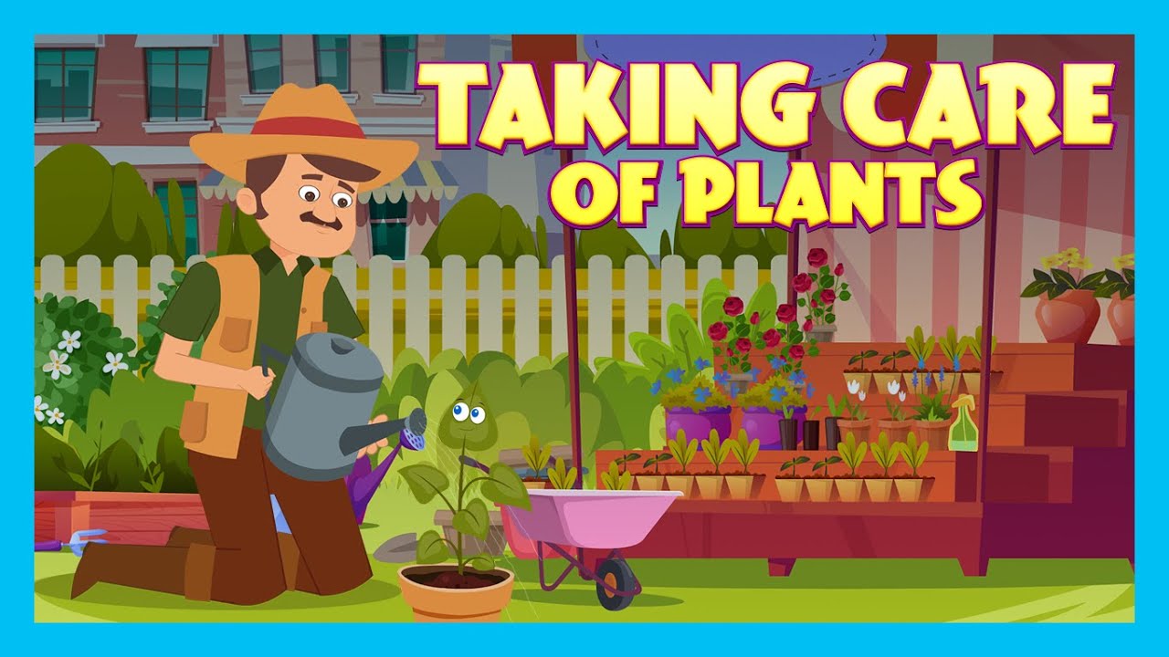 The Comprehensive Guide to Plant Care: Simple and Effective Tips for Healthy Plants