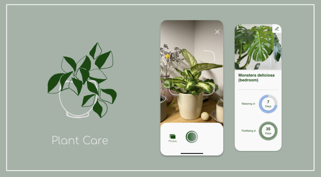 Comparing Plant Care Apps: the Best App to Nurture Your Greens