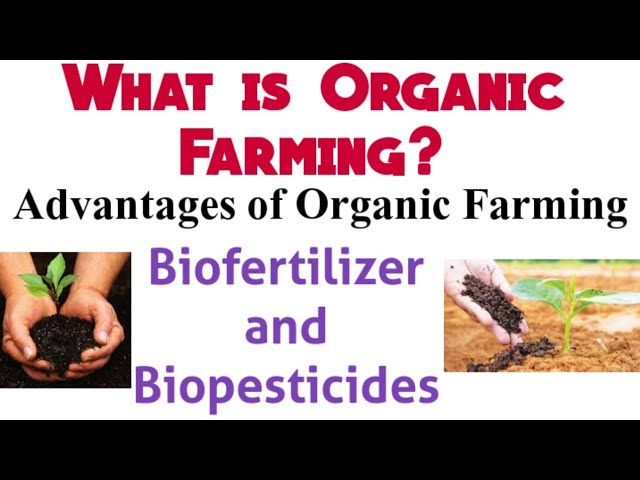 The Benefits of Organic Farming: Improving Sustainability and Health for Class 9 Students