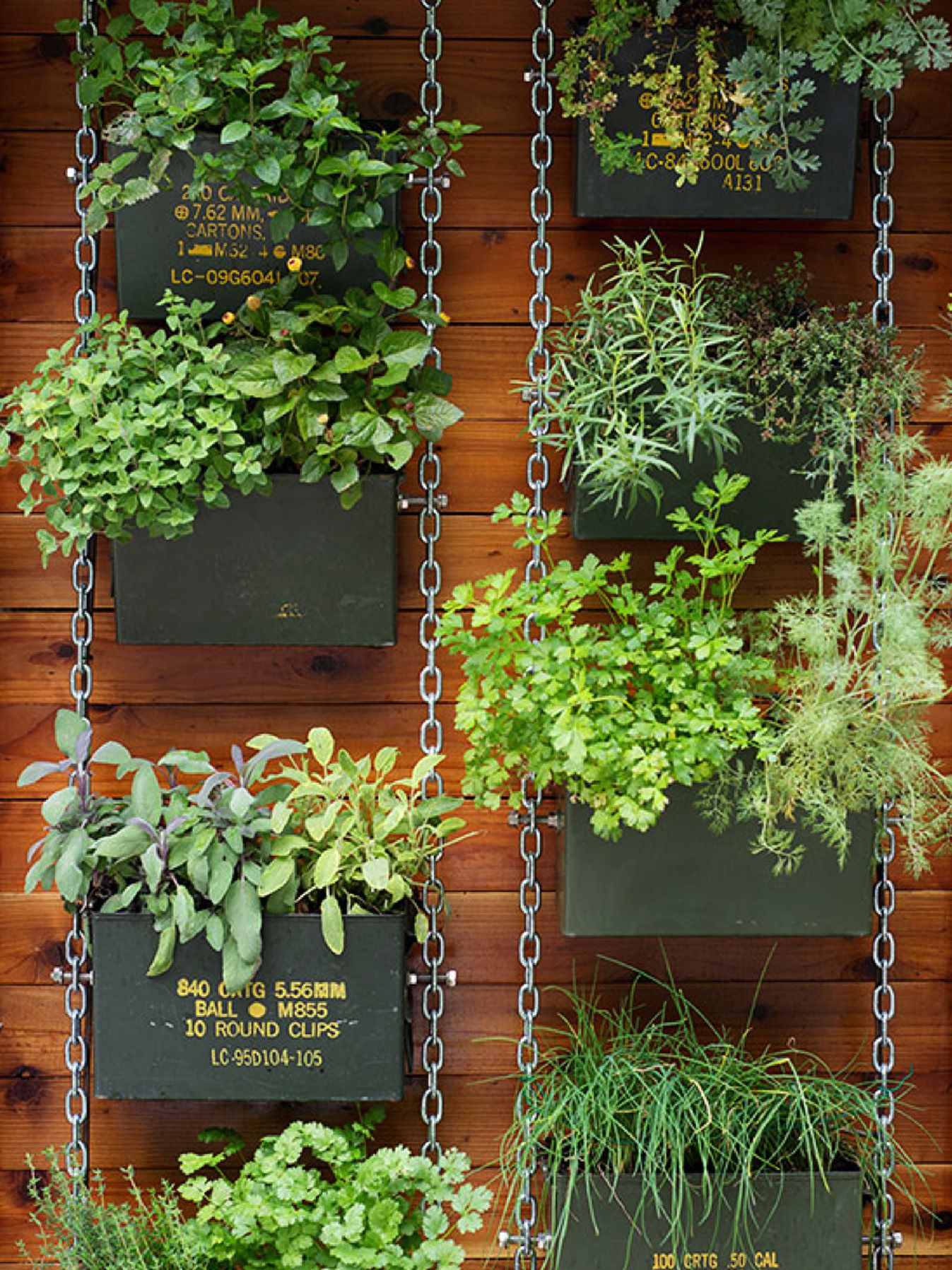 How to Create a Beautiful Vertical Garden: A Step-by-Step Guide