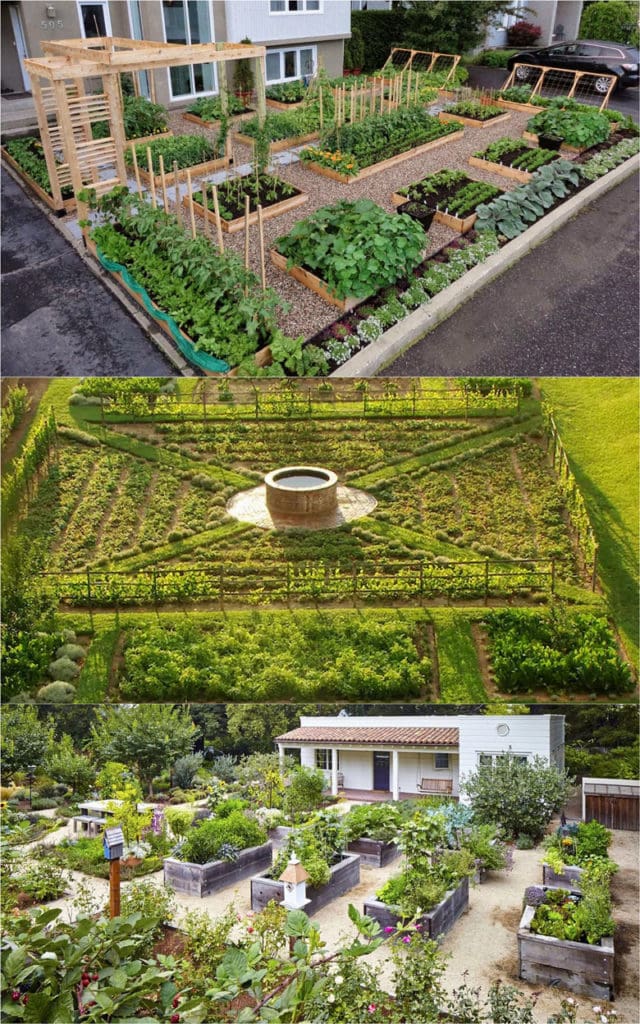 Creative Garden Design Ideas for Growing Fresh and Flavorful Vegetables