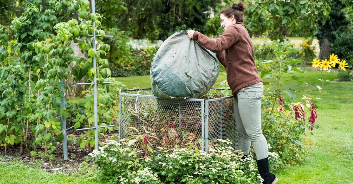 Why Gardens Are Vital for Our Well-Being and the Environment