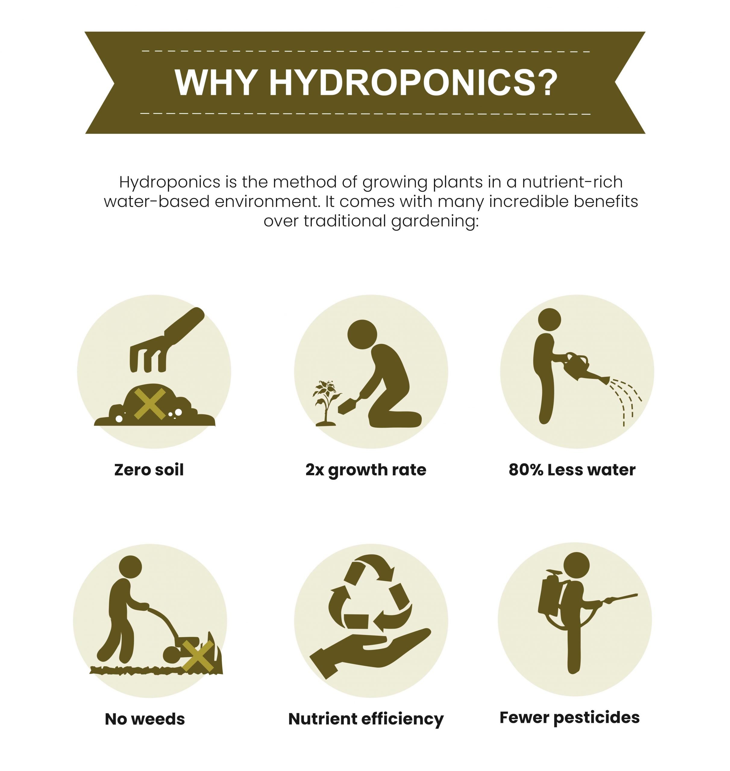 The Advantages of Hydroponic Gardening: A Sustainable Approach to Growing Plants