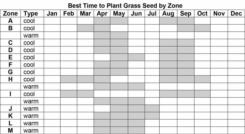 Best Time to Plant Grass Seed in NC: Optimal Seasons for Healthy Turf Best Time to Plant Grass Seed in NC: Optimal Seasons for Healthy Turf
